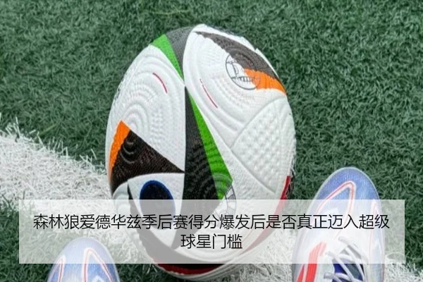 森林狼爱德华兹季后赛得分爆发后是否真正迈入超级球星门槛